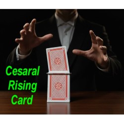 Cesaral Rising Card